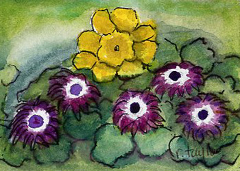 Spring Flower Exhibit  Robin Taylor Madison WI watercolor & pen
